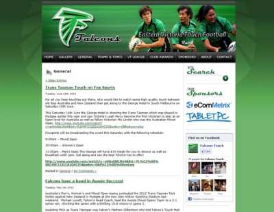 Falcons Touch Football